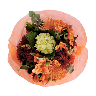 Love Autumn Love flowers - fresh-cut flowers by Bloomingmore - ideal for weddings and floral events