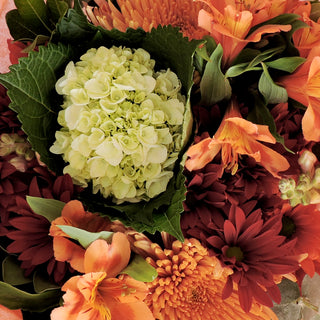 Love Autumn Love flowers - fresh-cut flowers by Bloomingmore - ideal for weddings and floral events