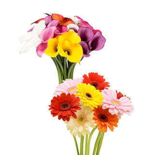 Mini Calla & Gerbera Combo Assorted Mini flowers - fresh-cut flowers by Bloomingmore - ideal for weddings and floral events