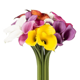 Mini Calla & Gerbera Combo Assorted Mini flowers - fresh-cut flowers by Bloomingmore - ideal for weddings and floral events