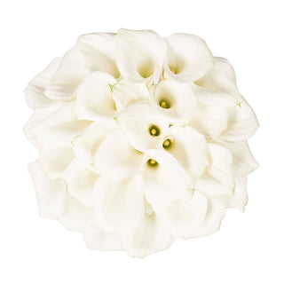 White Mini Calla Lilies