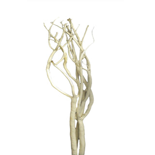 Mitsumata Natural White flowers - fresh-cut flowers by Bloomingmore - ideal for weddings and floral events