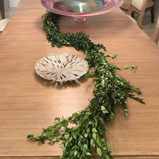 Myrtle Garland Green flowers - fresh-cut flowers by Bloomingmore - ideal for weddings and floral events