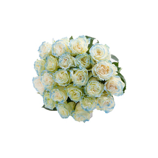 Neige Blue Painted Roses Blue roses - fresh-cut roses by Bloomingmore - ideal for weddings and floral events
