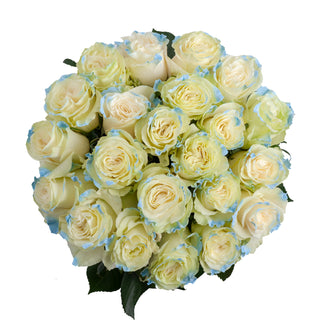 Neige Claire Painted Roses White roses - fresh-cut roses by Bloomingmore - ideal for weddings and floral events