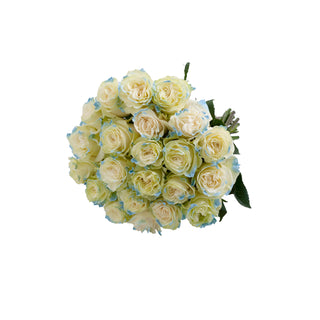 Neige Claire Painted Roses White roses - fresh-cut roses by Bloomingmore - ideal for weddings and floral events