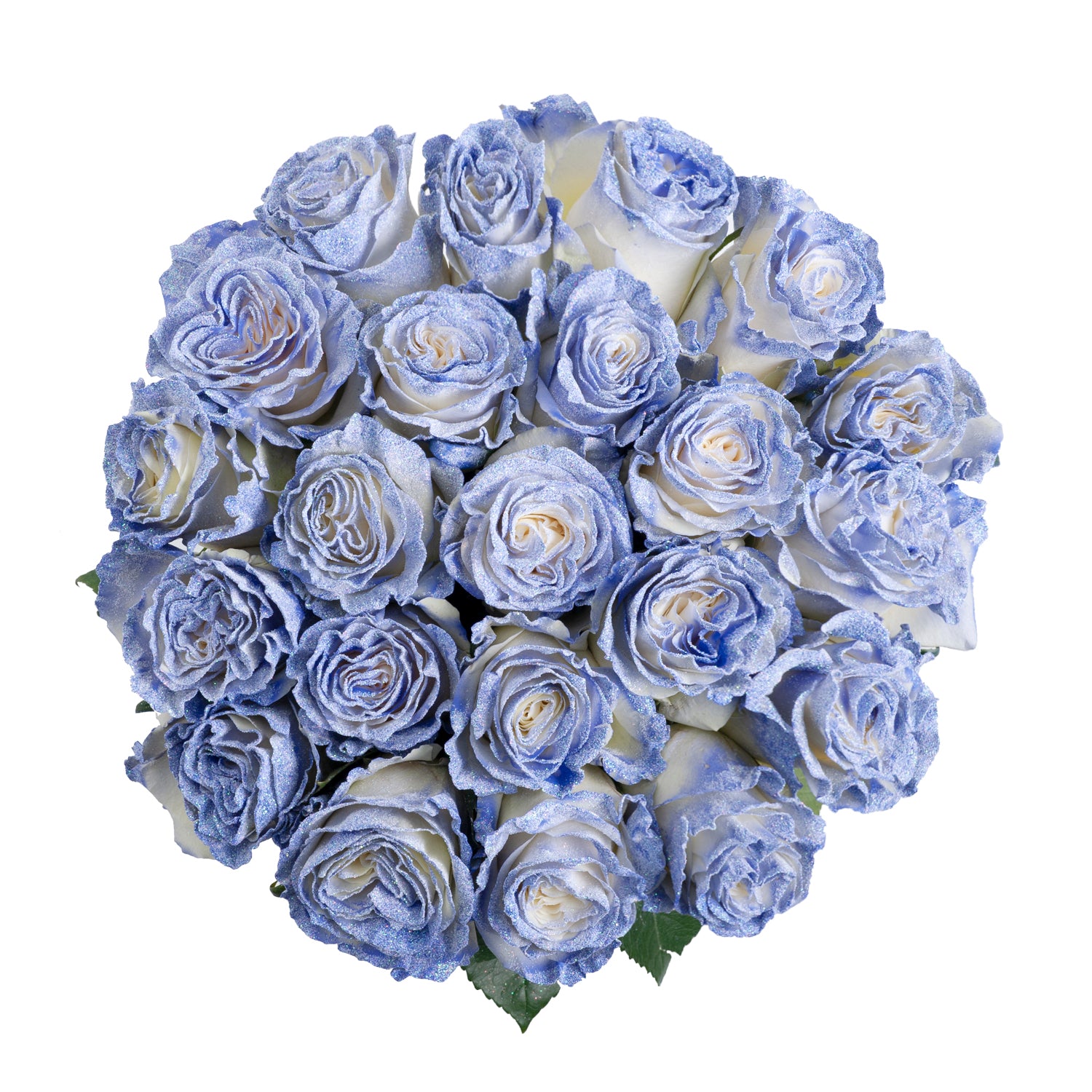 Color Of Night Rose