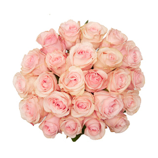 Novia Roses Pink roses - fresh-cut roses by Bloomingmore - ideal for weddings and floral events