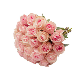 Novia Roses Pink roses - fresh-cut roses by Bloomingmore - ideal for weddings and floral events