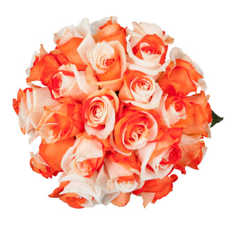 Orange & White Tinted Roses White roses - fresh-cut roses by Bloomingmore - ideal for weddings and floral events