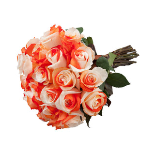 Orange & White Tinted Roses White roses - fresh-cut roses by Bloomingmore - ideal for weddings and floral events