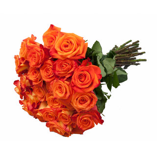 Careless Whisper Roses Orange roses - fresh-cut roses by Bloomingmore - ideal for weddings and floral events