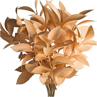 Pastel Orange Painted Ruscus Orange flowers - fresh-cut flowers by Bloomingmore - ideal for weddings and floral events