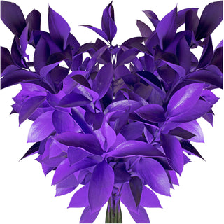 Pastel Purple Painted Ruscus Purple flowers - fresh-cut flowers by Bloomingmore - ideal for weddings and floral events