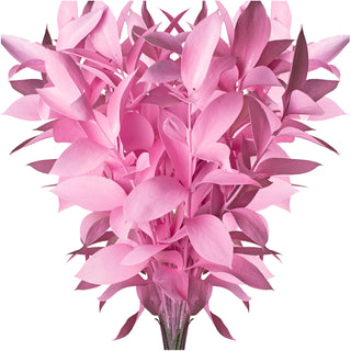 Pink Painted Ruscus Pink flowers - fresh-cut flowers by Bloomingmore - ideal for weddings and floral events