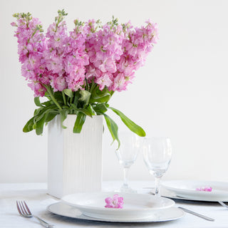 Pink Stock Pink flowers - fresh-cut flowers by Bloomingmore - ideal for weddings and floral events