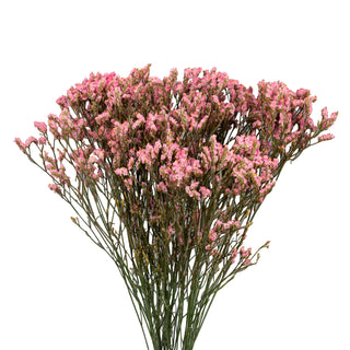 Pink Tinted Limonium Pink flowers - fresh-cut flowers by Bloomingmore - ideal for weddings and floral events