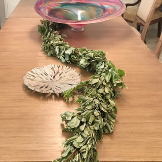 Pittosporum Variegated Garland Green flowers - fresh-cut flowers by Bloomingmore - ideal for weddings and floral events