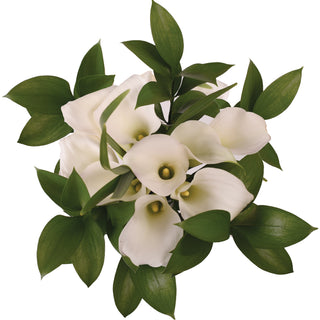 Pure Elegance White Mini Calla Bouquet White flowers - fresh-cut flowers by Bloomingmore - perfect for gifting or decoration