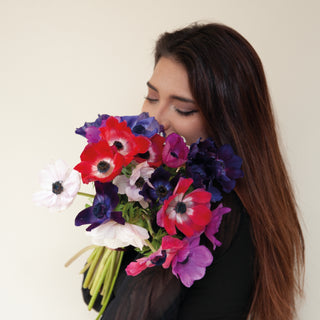 Purple Anemones Purple flowers - fresh-cut flowers by Bloomingmore - ideal for weddings and floral events