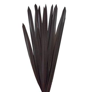 Purple  Flax Purple flowers - fresh-cut flowers by Bloomingmore - ideal for weddings and floral events