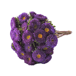 Purple Matsumoto Pink flowers - fresh-cut flowers by Bloomingmore - ideal for weddings and floral events