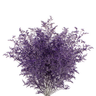 Purple Tinted with Glitter Limonium Purple flowers - fresh-cut flowers by Bloomingmore - ideal for weddings and floral events