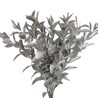 Silver Painted Ruscus