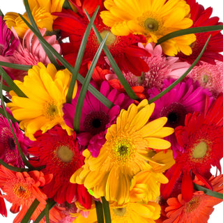 Rainbow Gerbera Bouquet Rainbow flowers - fresh-cut flowers by Bloomingmore - perfect for gifting or decoration