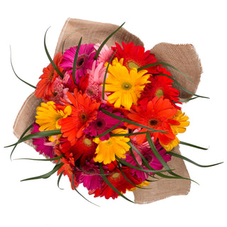 Rainbow Gerbera Bouquet with Burlap Rainbow flowers - fresh-cut flowers by Bloomingmore - perfect for gifting or decoration