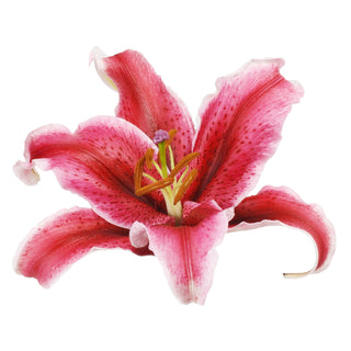 Red Oriental Lilies Red flowers - fresh-cut flowers by Bloomingmore - ideal for weddings and floral events