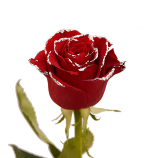 Red & Silver Glitter Roses Red roses - fresh-cut roses by Bloomingmore - ideal for weddings and floral events