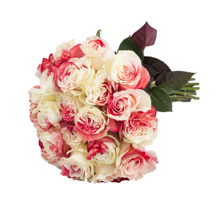 Red & White Tinted Roses Red roses - fresh-cut roses by Bloomingmore - ideal for weddings and floral events