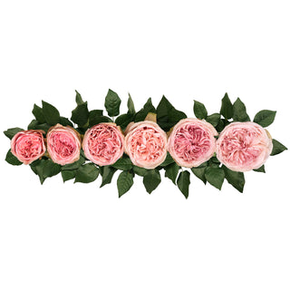 Senlitsu Garden Rose - 36 stems Pink roses - fresh-cut roses by Bloomingmore - ideal for weddings and floral events