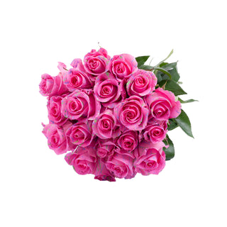 Shirley Confetti Painted Roses Pink roses - fresh-cut roses by Bloomingmore - ideal for weddings and floral events