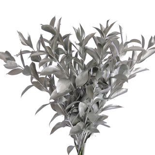 Silver Painted Ruscus Green flowers - fresh-cut flowers by Bloomingmore - ideal for weddings and floral events