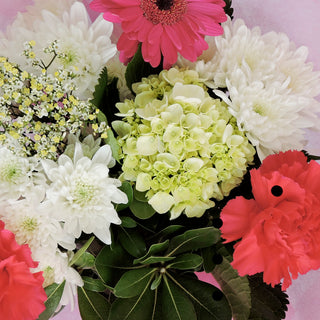 Simply Dainty Simply flowers - fresh-cut flowers by Bloomingmore - ideal for weddings and floral events