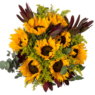 Sunny Side Sunny flowers - fresh-cut flowers by Bloomingmore - ideal for weddings and floral events