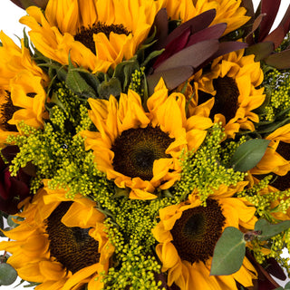 Sunny Side Sunny flowers - fresh-cut flowers by Bloomingmore - ideal for weddings and floral events