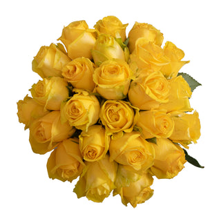 Super Sun Roses Yellow roses - fresh-cut roses by Bloomingmore - ideal for weddings and floral events