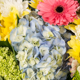 Sweet Sensation Sweet flowers - fresh-cut flowers by Bloomingmore - ideal for weddings and floral events