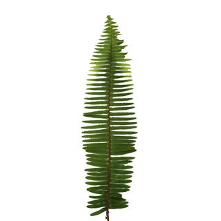 Sword Fern - 150 Stems Green flowers - fresh-cut flowers by Bloomingmore - ideal for weddings and floral events
