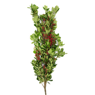 The Grinch Garland Green flowers - fresh-cut flowers by Bloomingmore - perfect for gifting or decoration