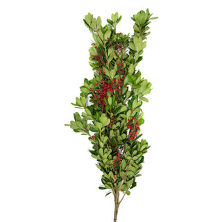 The Grinch Wreath and Garland Combo Green flowers - fresh-cut flowers by Bloomingmore - perfect for gifting or decoration