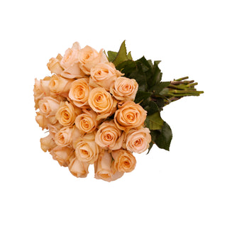 Tiffany Roses Peach roses - fresh-cut roses by Bloomingmore - ideal for weddings and floral events