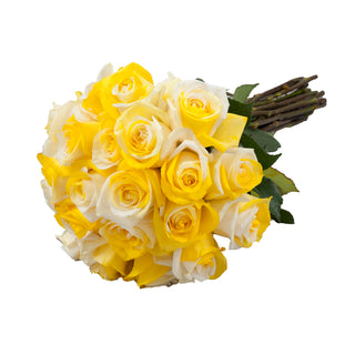 Yellow & White Tinted Roses White roses - fresh-cut roses by Bloomingmore - ideal for weddings and floral events