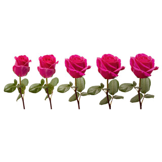 Topaz Roses Pink roses - fresh-cut roses by Bloomingmore - ideal for weddings and floral events