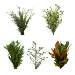 Traditional Holiday combo Green flowers - fresh-cut flowers by Bloomingmore - ideal for weddings and floral events