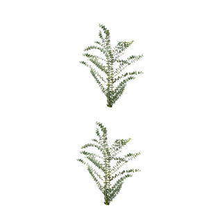 Traditional Holiday combo Green flowers - fresh-cut flowers by Bloomingmore - ideal for weddings and floral events