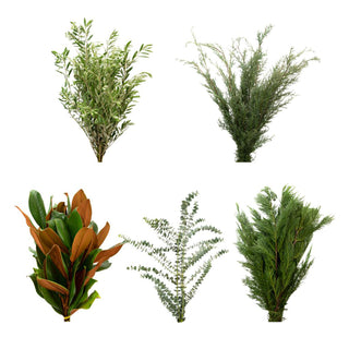 Trendy Holiday combo Green flowers - fresh-cut flowers by Bloomingmore - ideal for weddings and floral events